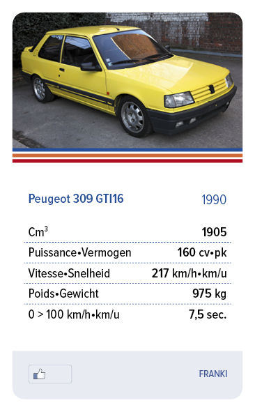 Peugeot 309 GTI16 1990 - FRANKI
