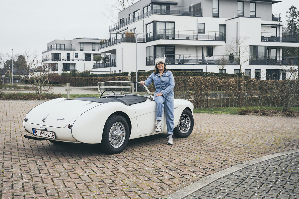 Austin Healey 100/4 (1953) 