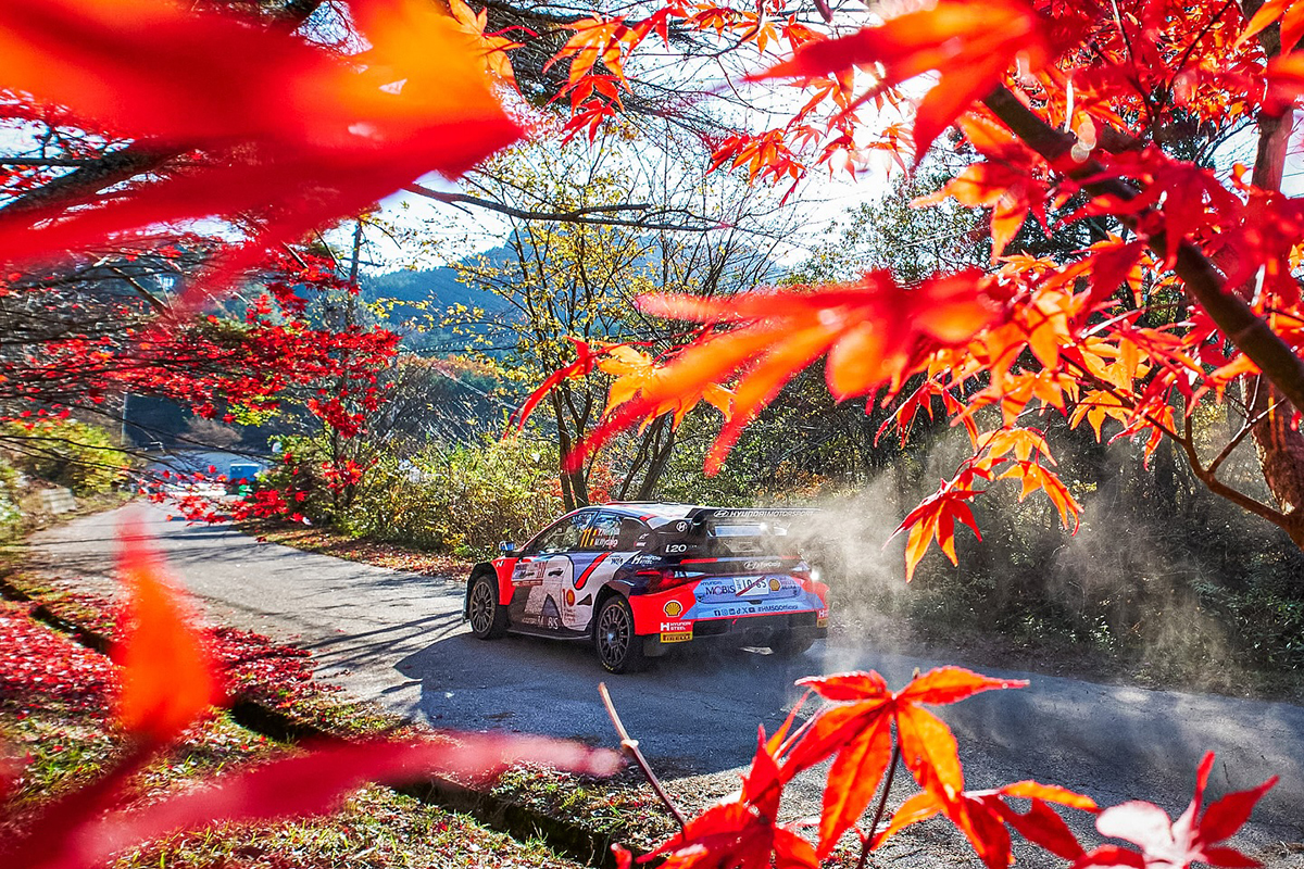 Thierry Neuvile - Martijn Wydaeghe - Hyundai Motorsport - World Champions WRC 2024