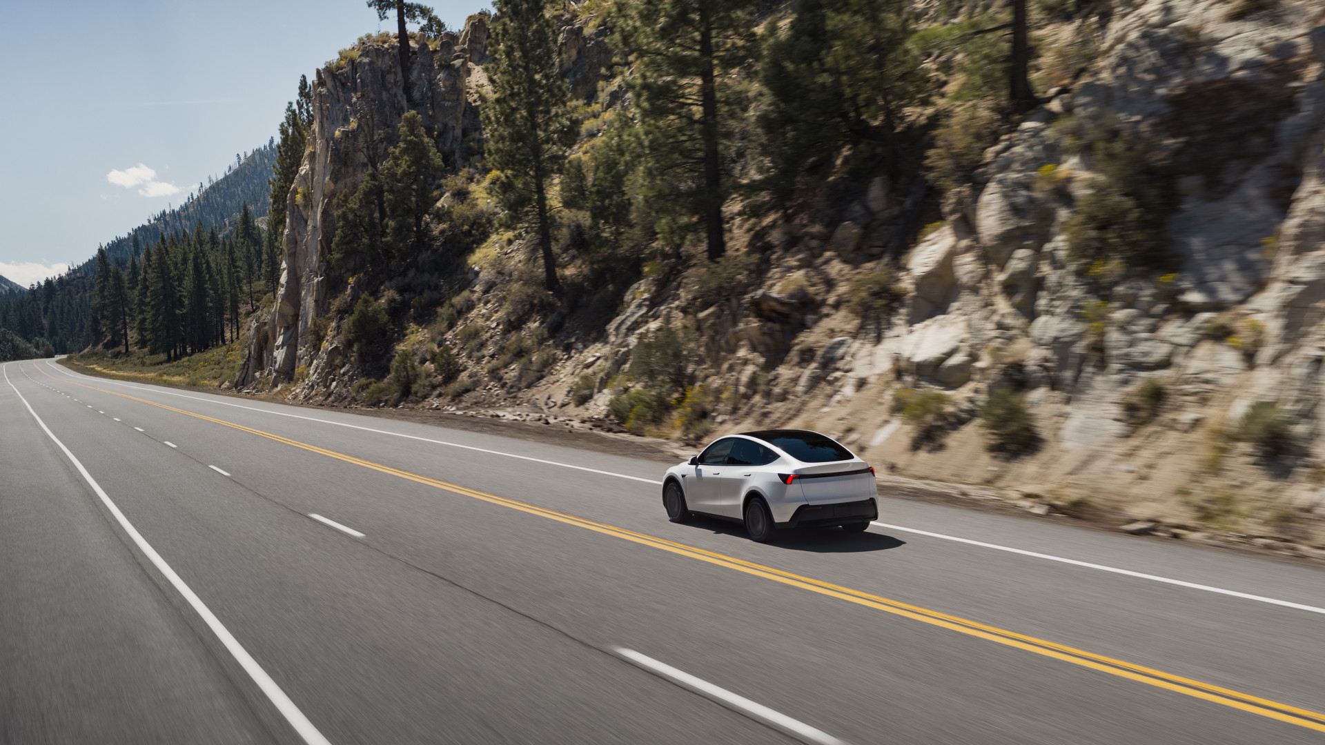 2025 Tesla Model Y Standard