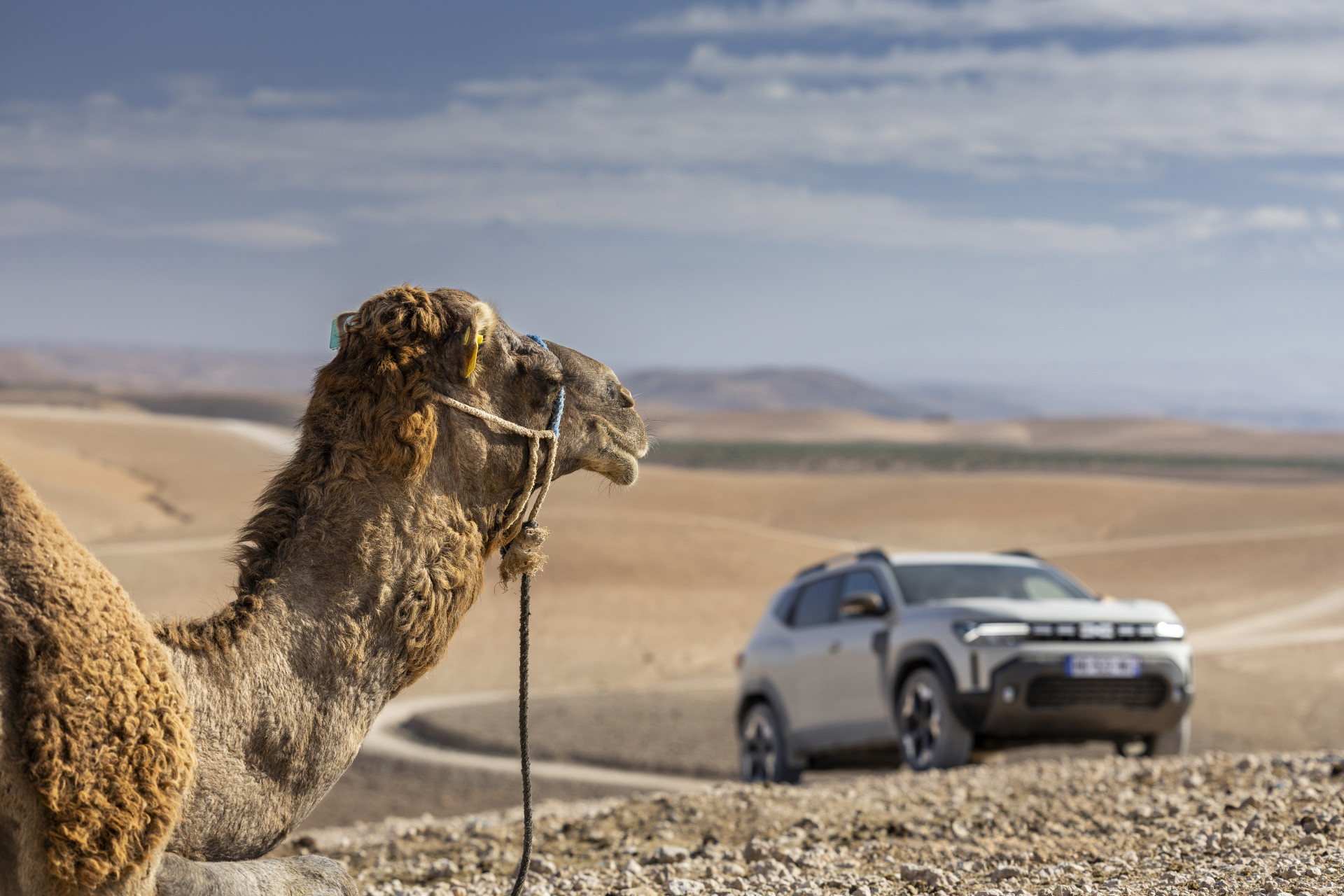 Review Dacia Duster Hybrid-G 150 4x4 "bifuel" (2026) - eerste test AutoGids