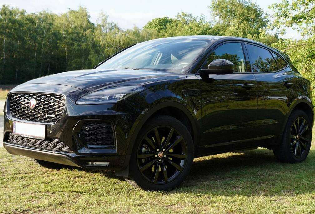 Jaguar