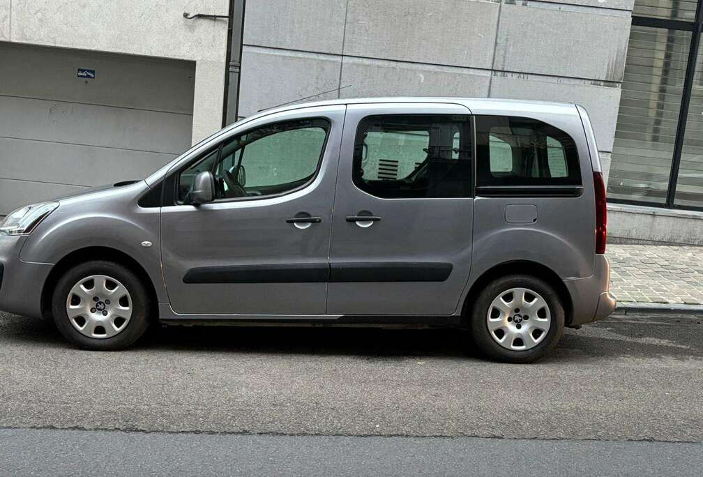 Peugeot Partner Tepee 1.6 BlueHDi Active S