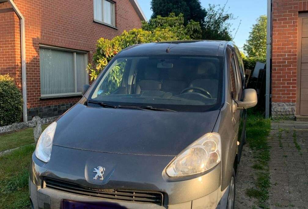 Peugeot 1.6 HDi L1H1 Confort 120