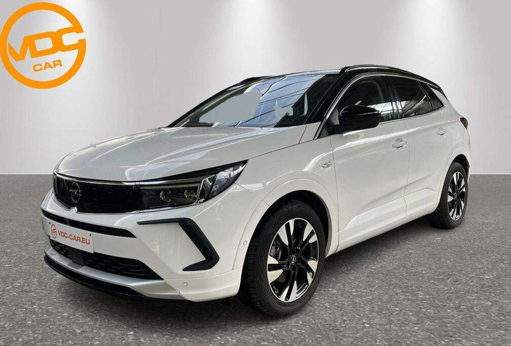 Opel business elegance