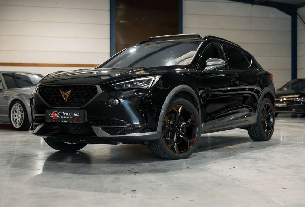 Formentor 2.0 TSI 4Drive VZ DSG