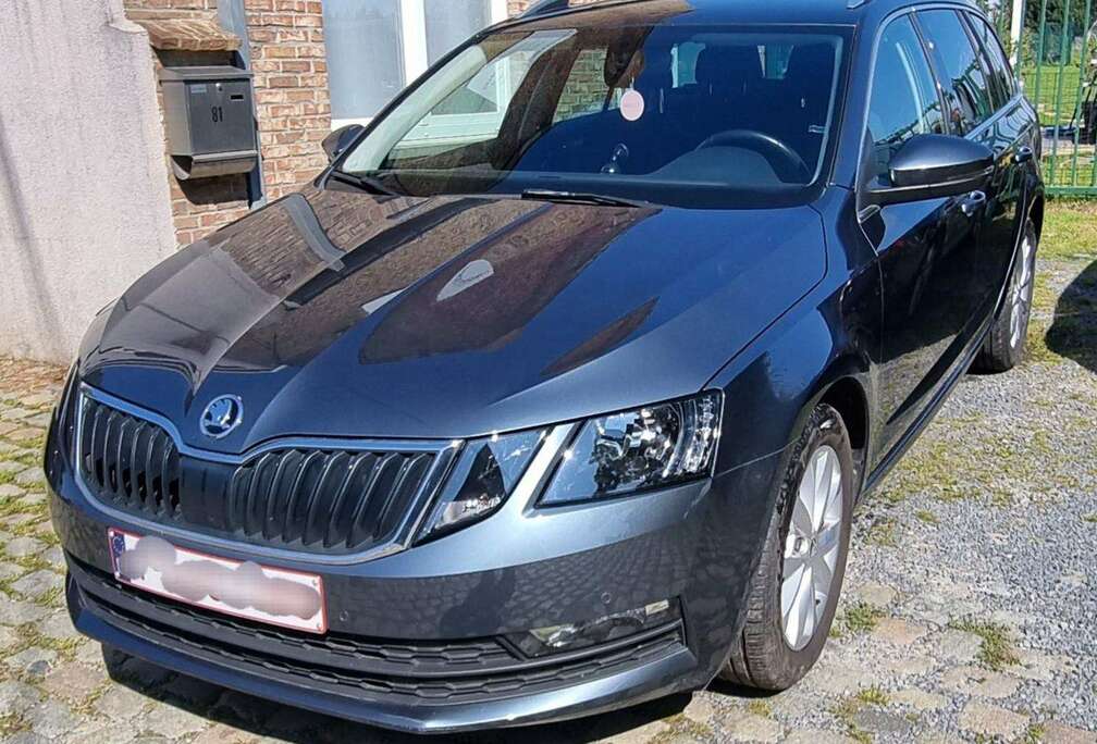 Skoda Octavia+SW+1.0+TSI+Ambition+(EU6.2)