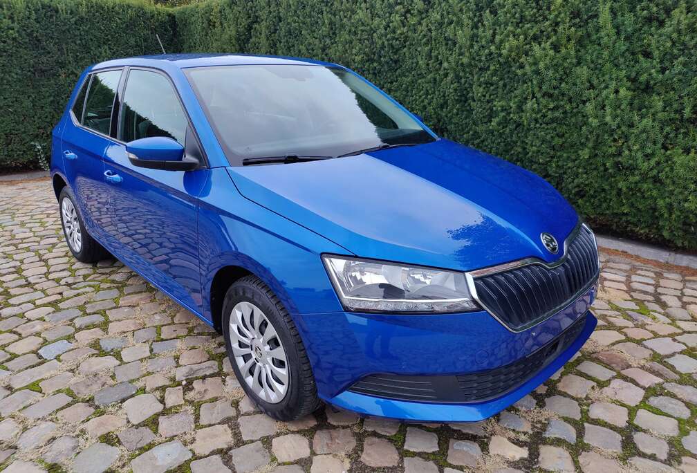 Skoda Fabia 1.0 TSI Ambition