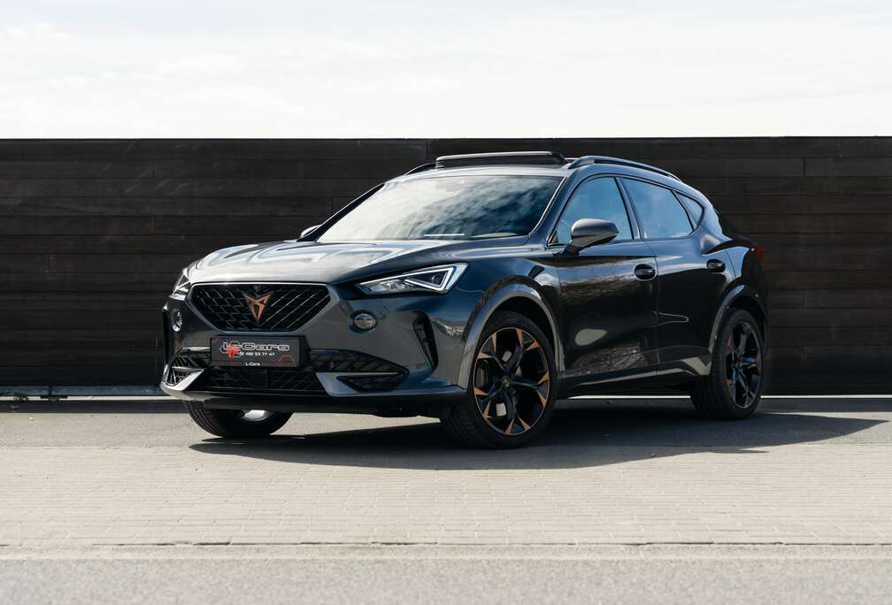 Formentor 2.0 TSI 4Drive VZ DSG