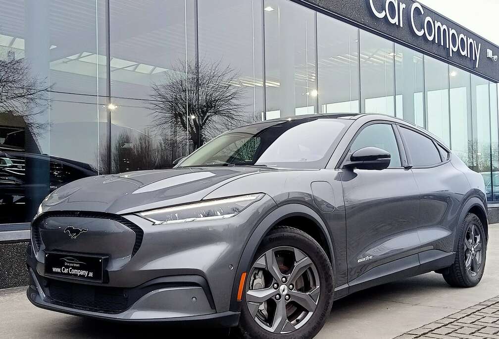 Ford 76 kWh RWD*LEDER*GPS*360CAM*PANODAK*DAB*LED