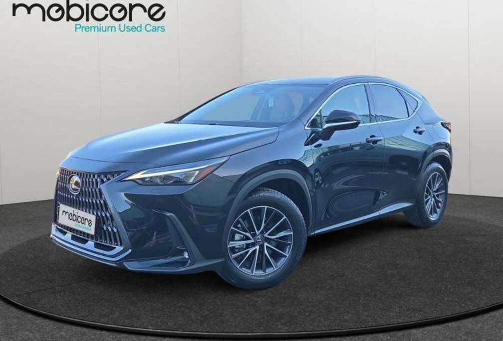 Lexus Executive Line / Hybrid