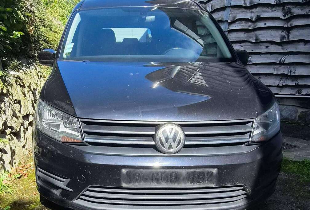 Volkswagen 2.0 CR TDi SCR Maxi DSG (EU6)