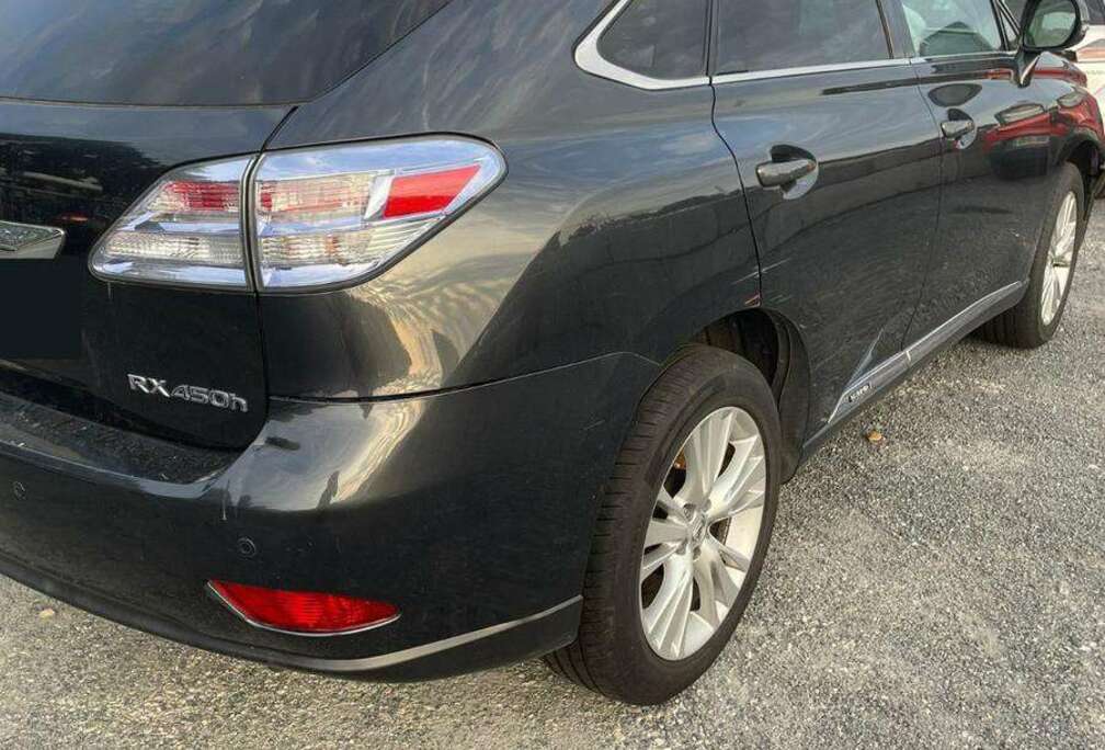 Lexus (hybrid) Luxury Line