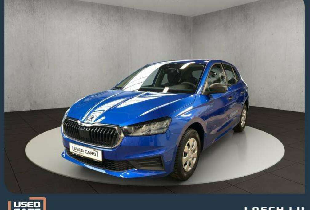 Skoda Active+Lane.Ass+Virtual