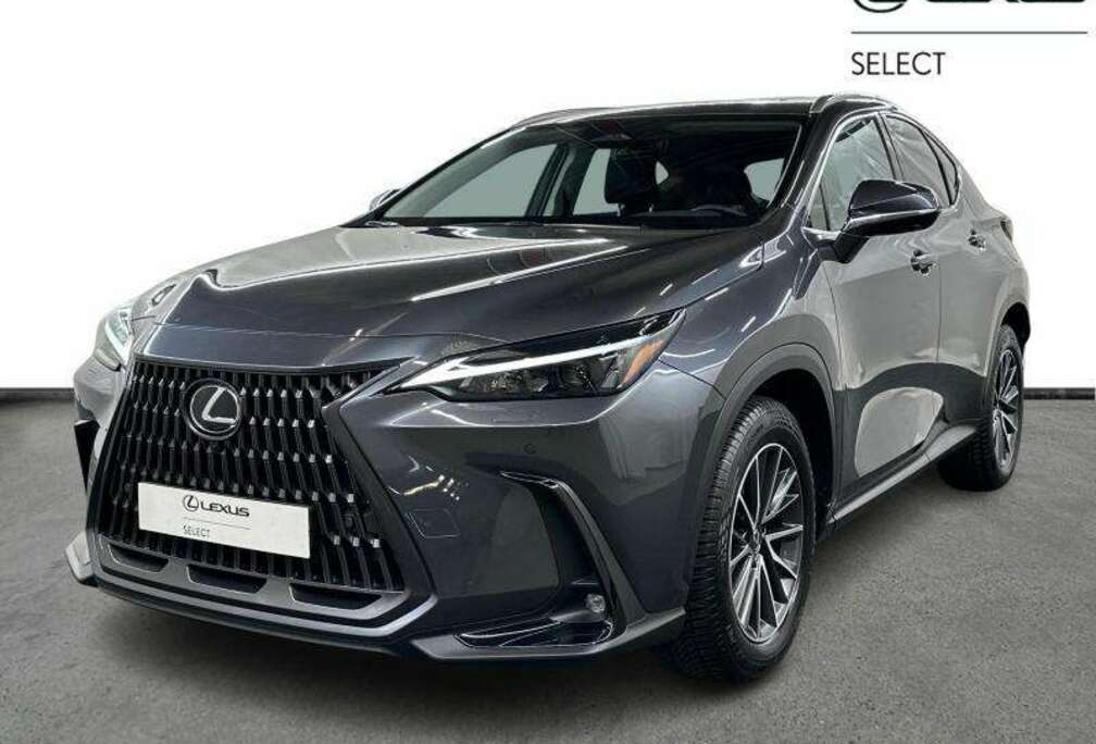 Lexus Executive Line