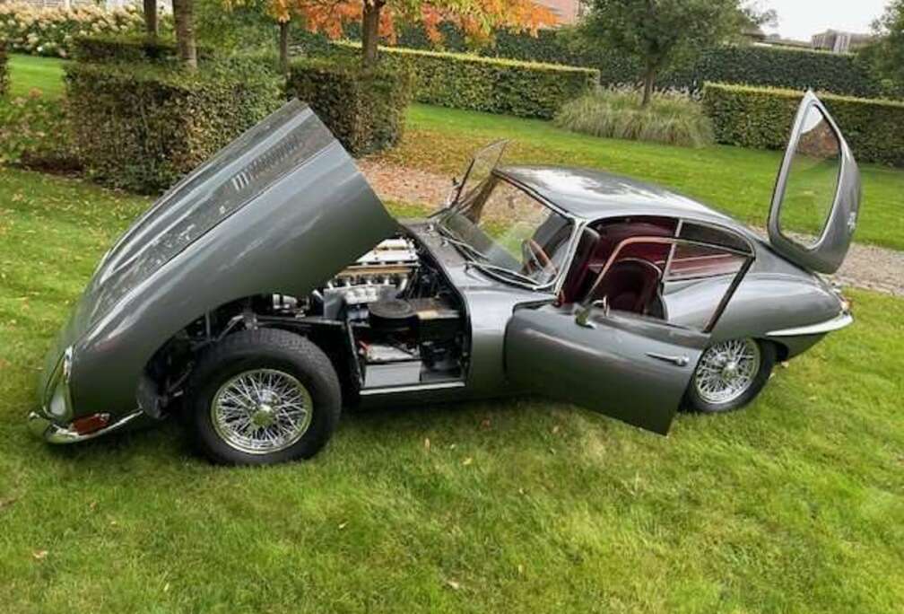 Jaguar Serie 1 coupé 4.2  1965