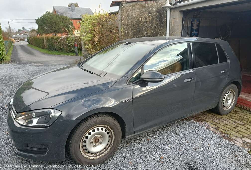 Volkswagen Golf 1.6 CR TDi 4Motion Trendline