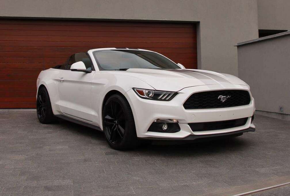 Ford Mustang Cabrio 2.3 Eco Boost