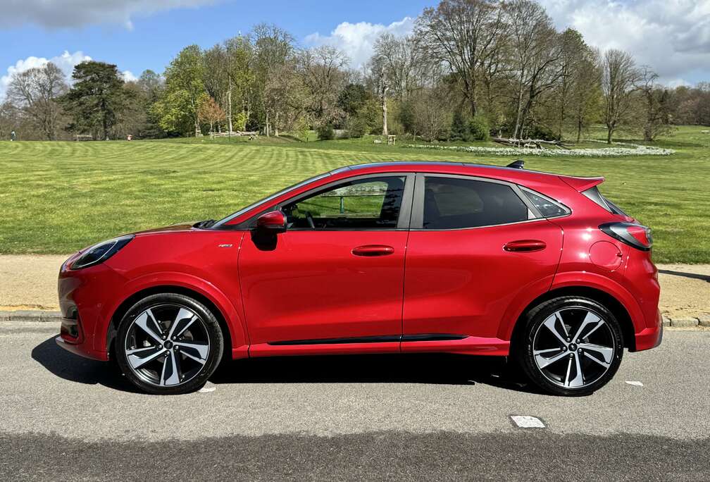 Ford ST-Line X  19  Pano  Full Option  24.500km