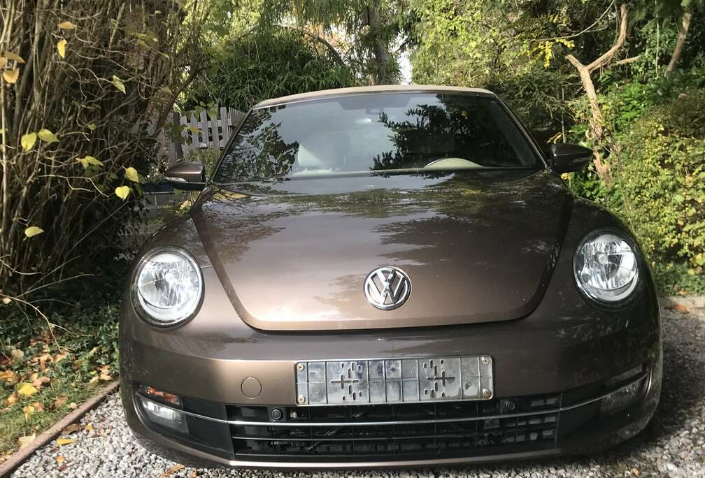 Volkswagen Beetle Cabriolet 1.6 CR TDi