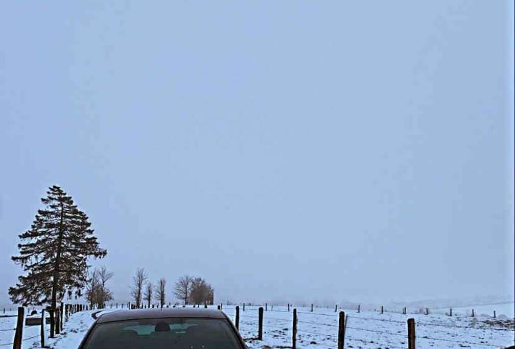 Renault Megane Coupe TCe 265Renault Sport