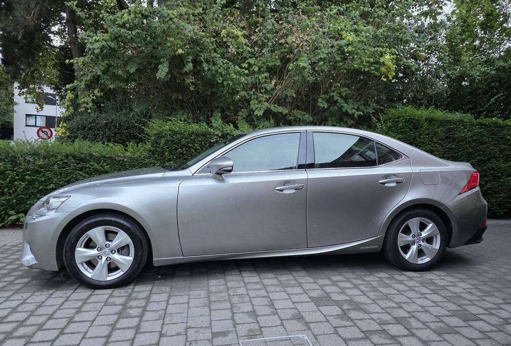 Lexus Business Line