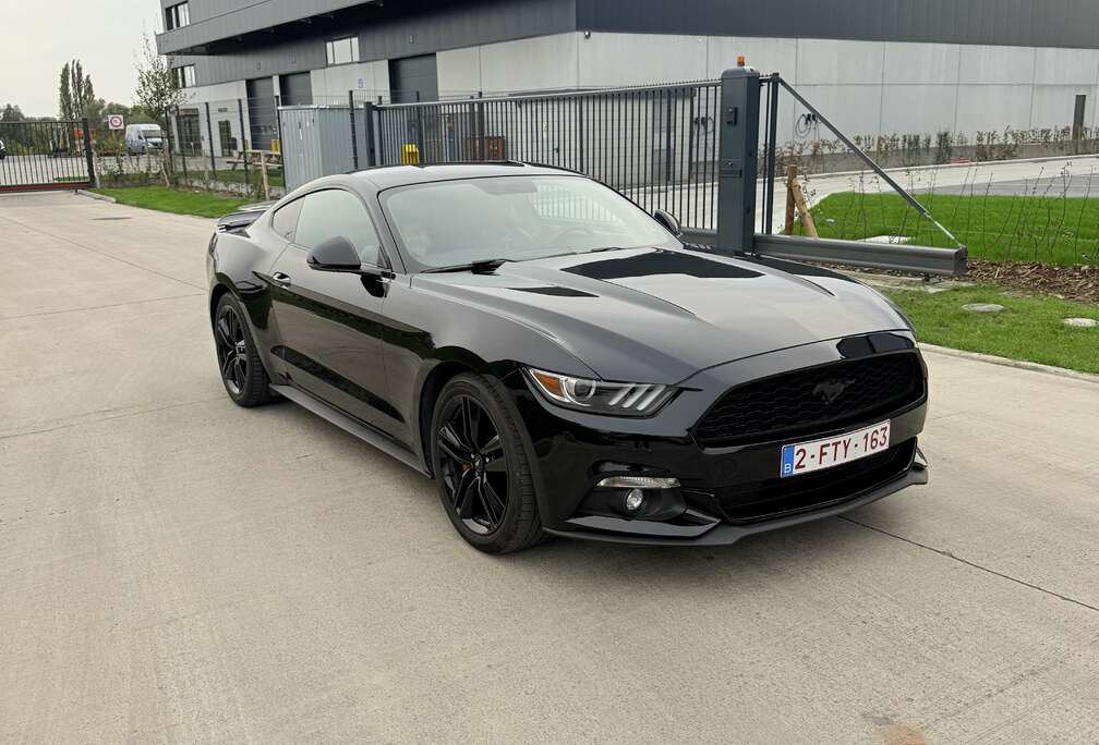 Ford 2.3 Eco Boost btw auto