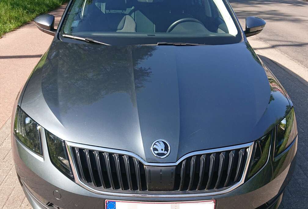Skoda Octavia Combi 1.5 TSI G-TEC DSG Active