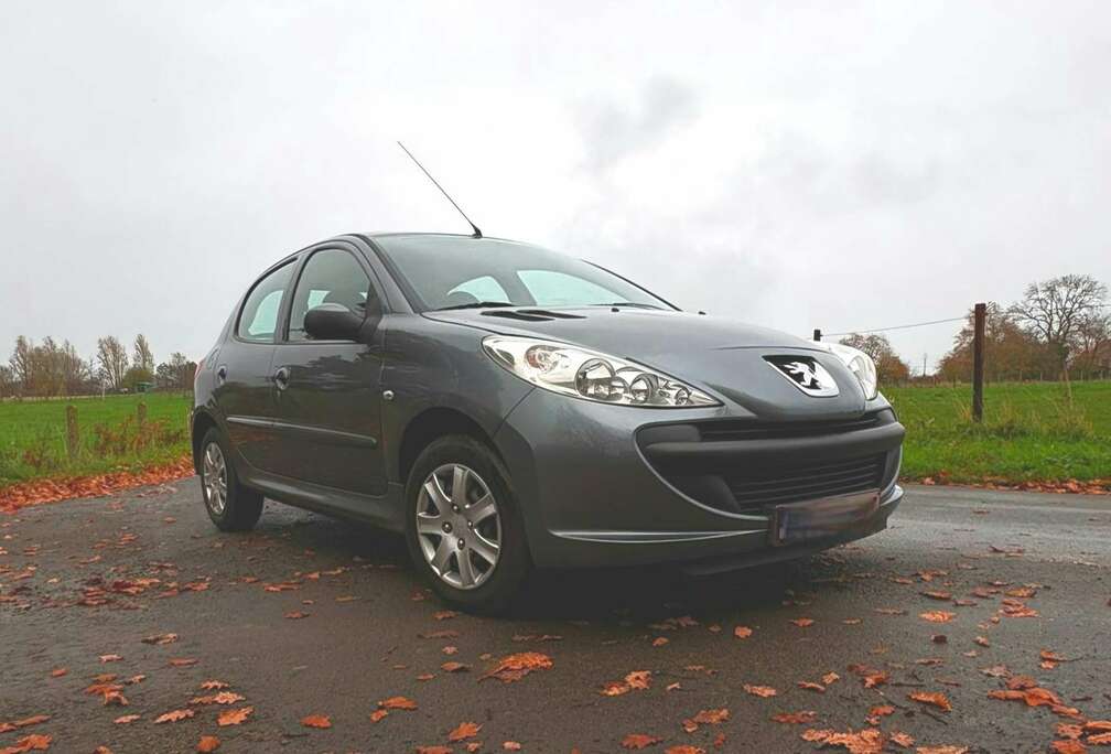 Peugeot 206+ 60
