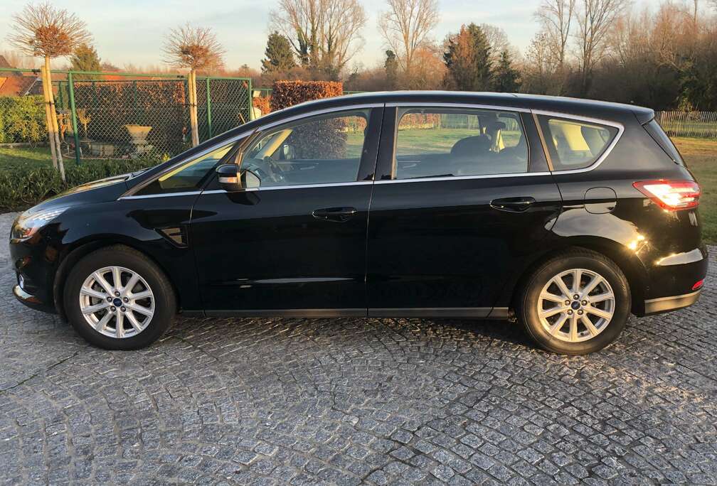 Ford S-Max 2.0 TDCi Business