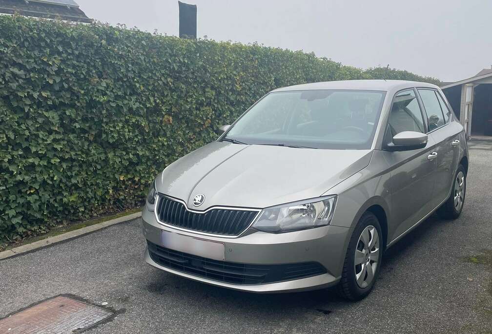 Skoda Fabia+1.2+TSI+DSG+Ambition