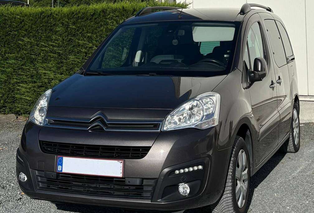 Citroen 1.2 PureTech 110 pk S&S