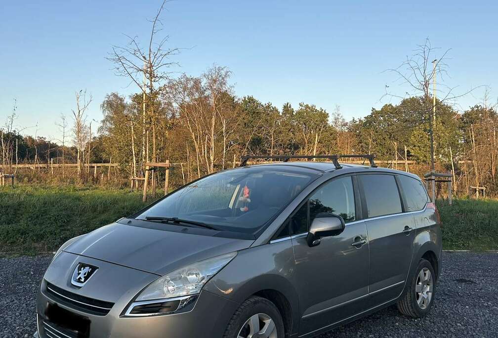 Peugeot 1.6HDI FAP Family 110