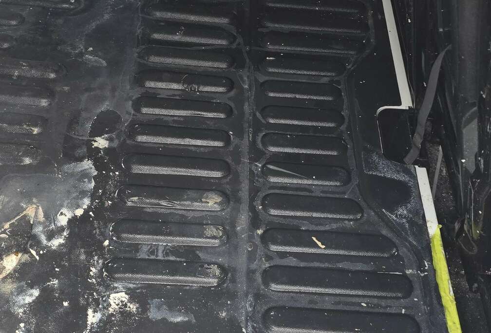 Citroen Berlingo 1.6 HDi Fresh 600 kg Hayon/Achterklep