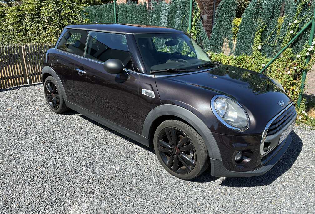MINI 1.2 First