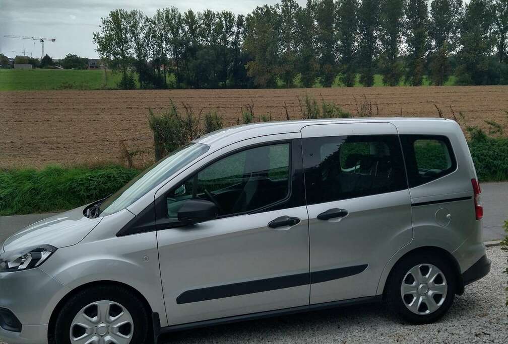 Ford 1.3i S EFI