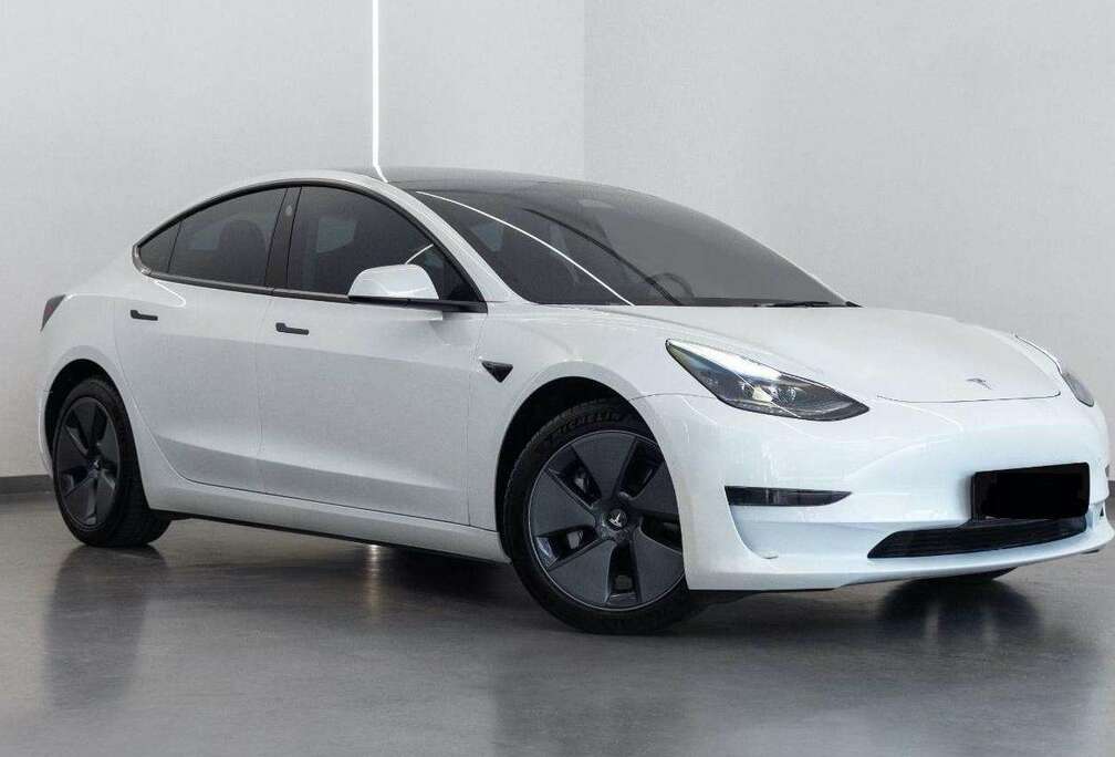 Tesla Standard Reichweite Plus Hinterradantrieb
