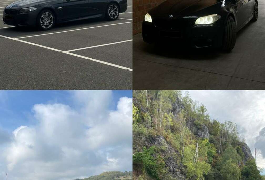 BMW BMW 530d F10  Propulsion  Pack M  Options