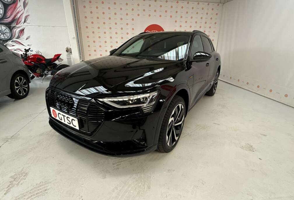 Audi 50 quattro Black styling pak, B&O, Camera, Leder