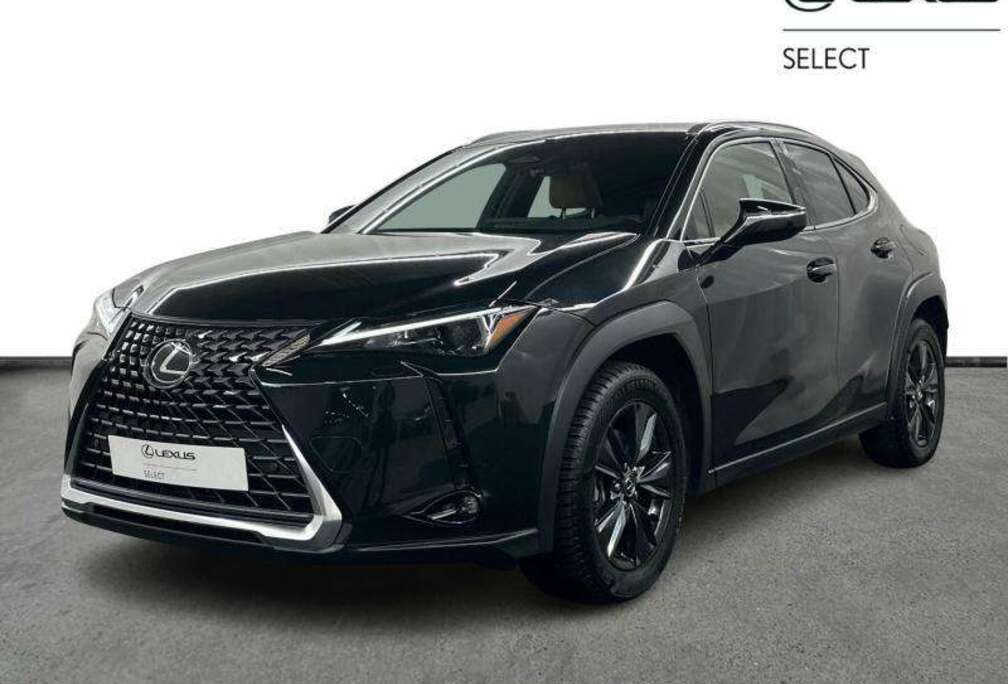Lexus Business Line | winter pack | all seasons