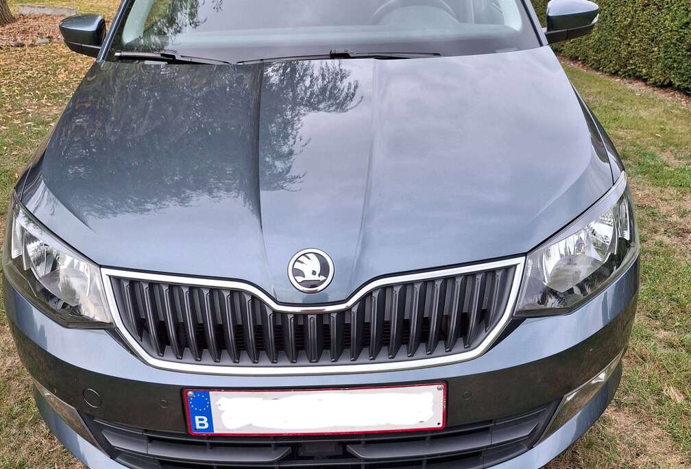 Skoda Fabia SW 1.0 TSI Ultimate Clever