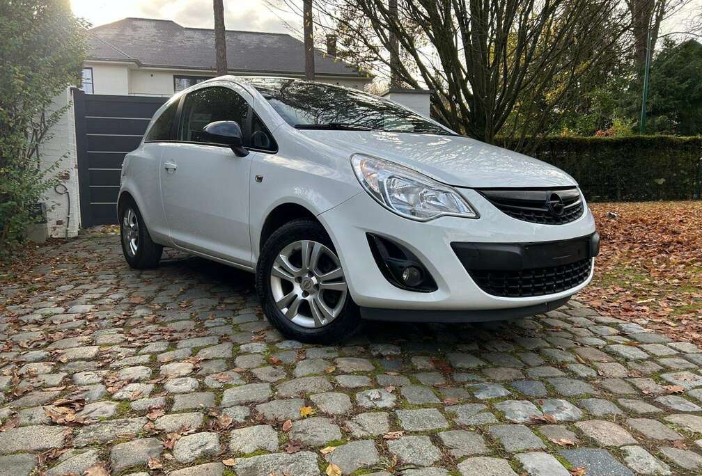 Opel 1.3 CDTi ECOTEC Black Edition FAP