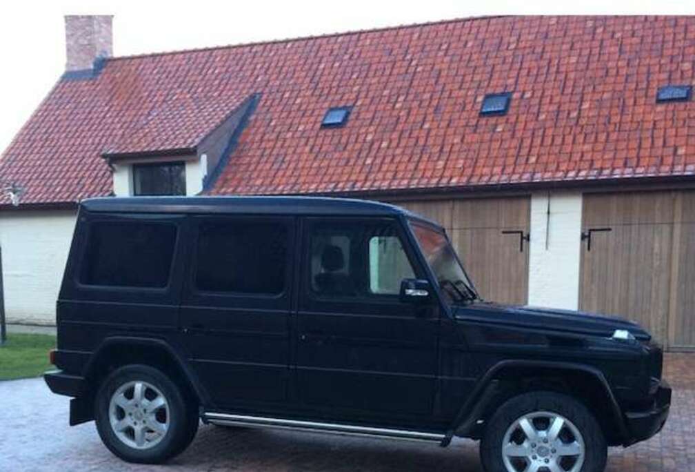 Mercedes-Benz G 350 BlueTEC lichte vracht