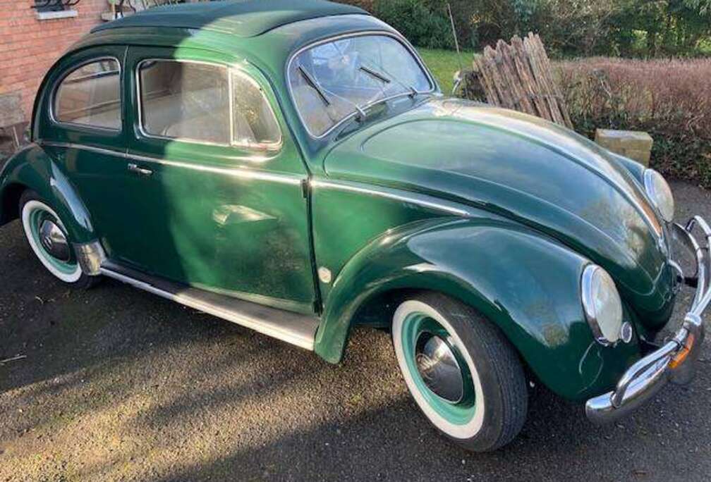 Oldtimer coccinelle découvrable \