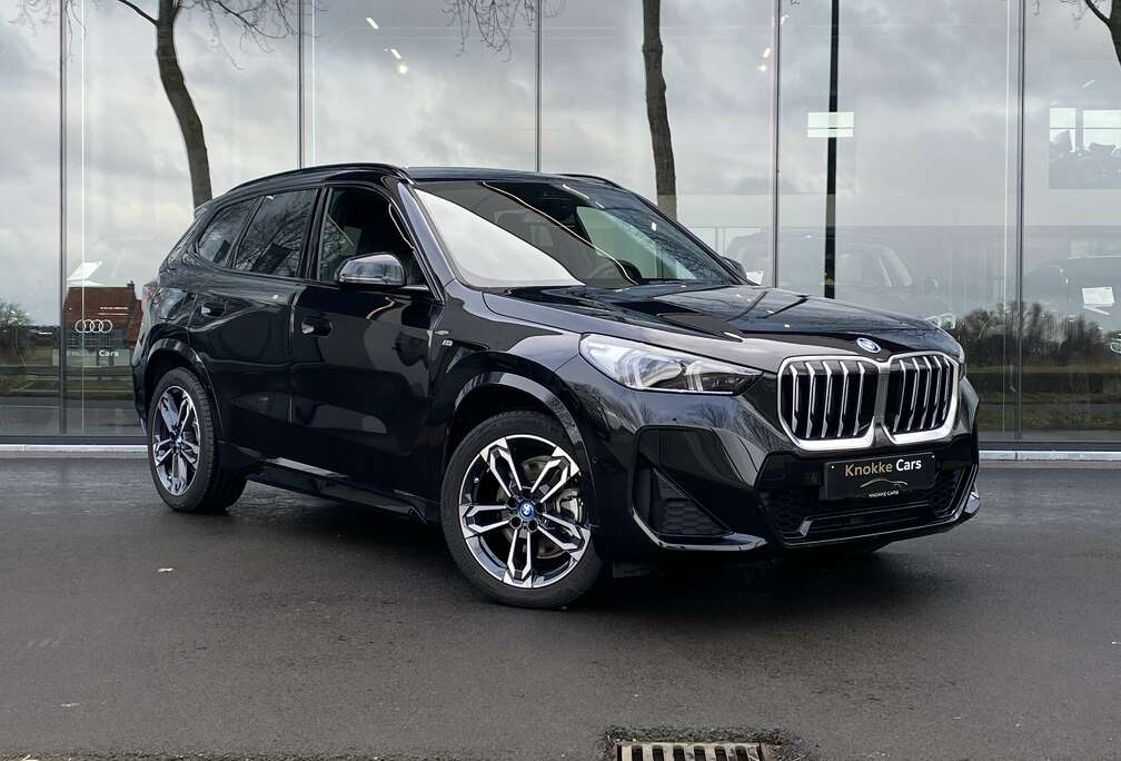 BMW Hybride,M-Pack,Camera,Trekhaak,Gps,LED\'s,Privacy