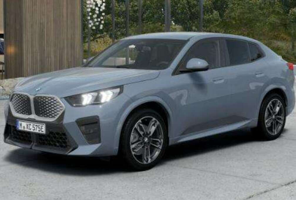 BMW eDrive20 /Pack M/ Driving pack/ 19\