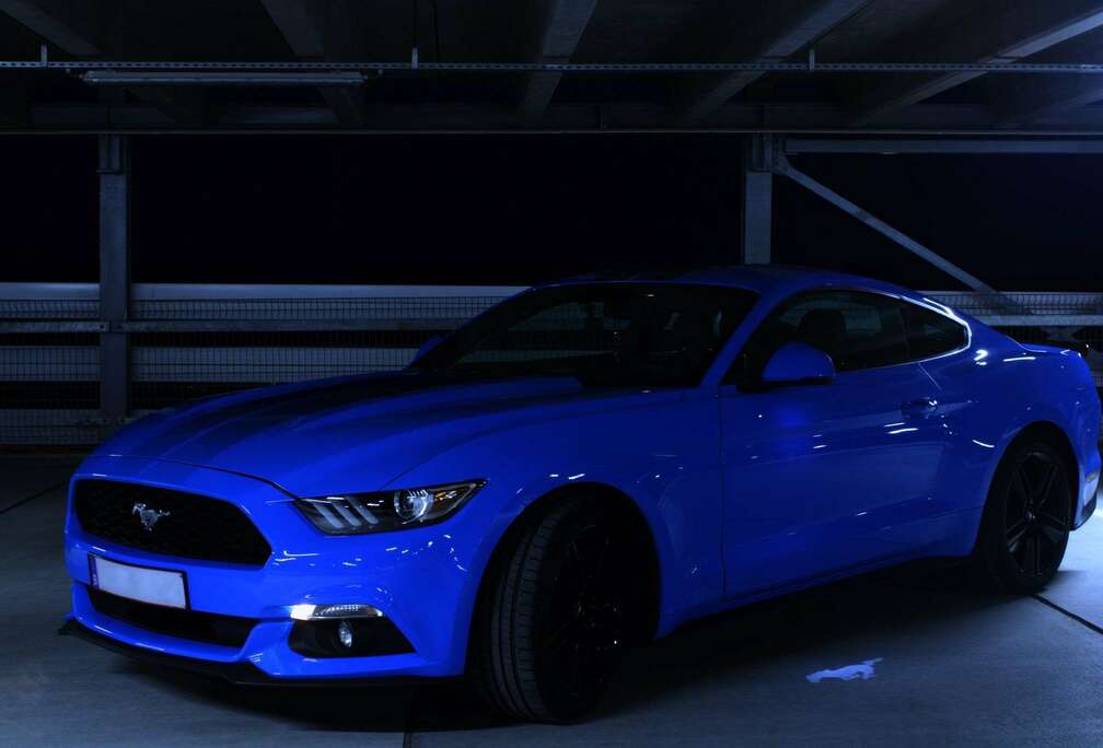 Ford 2.3 Eco Boost Aut.