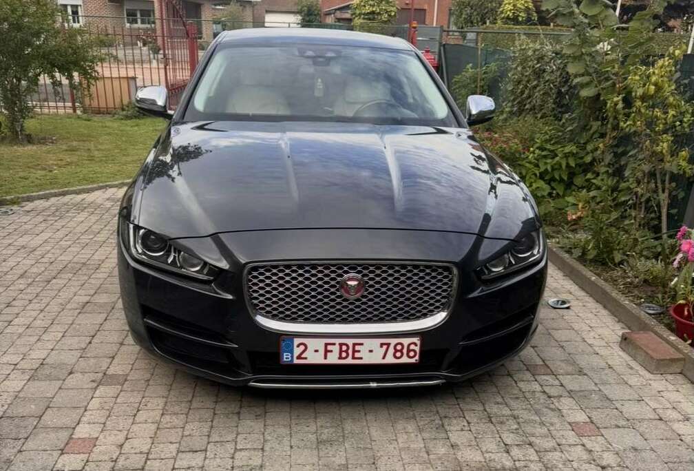 Jaguar 2.0 D E-Performance Portfolio