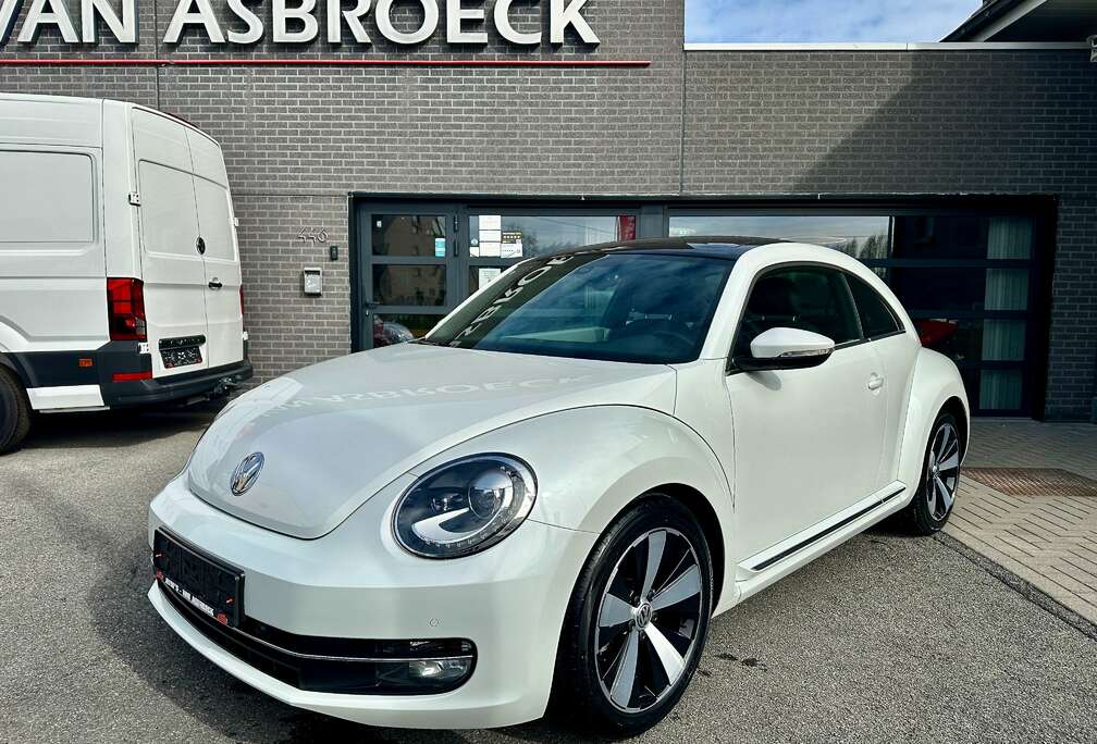 Volkswagen Beetle 1.4 TSI Design Fender Sound-Panorama Dak-LEDER-GPS-Xenon-Allu 18\