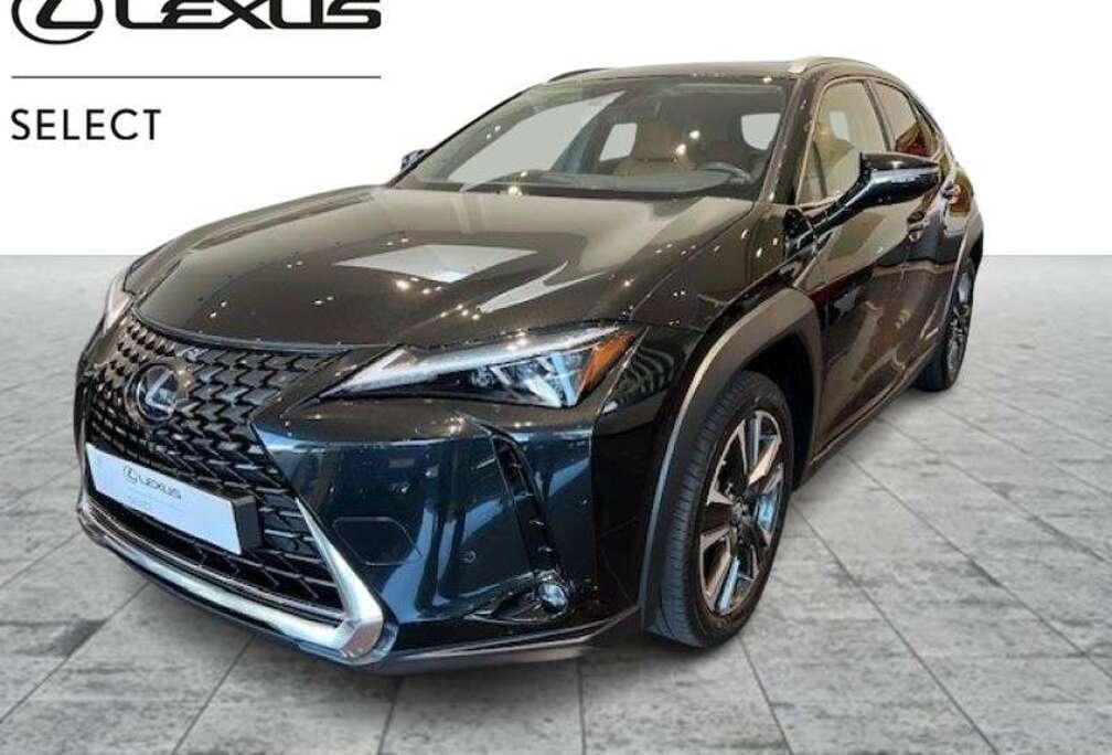 Lexus AWD Privilege Line